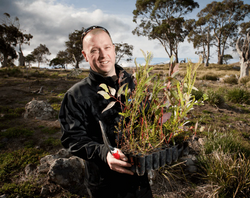 Rubyjam Fabric Tree Planting Program - June 2021