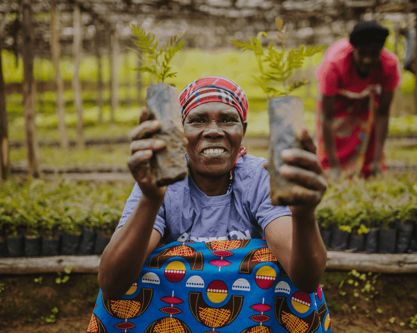 Rubyjam Fabric Tree Planting Program - February 2021
