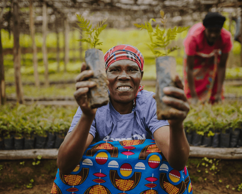 Rubyjam Fabric Tree Planting Program - February 2021