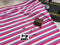 FLAWED - 159cm Berry Light Yarn Dyed Stripes - cotton lycra - clearance