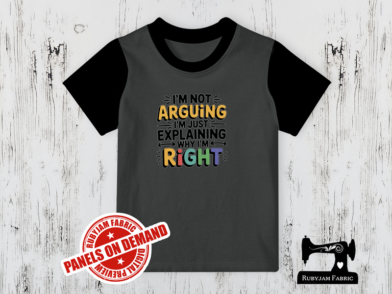 I'm Not Arguing I'm Just Explaining Why I'm Right - CHARCOAL GREY - Panels On Demand