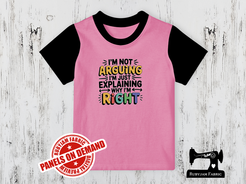 I'm Not Arguing I'm Just Explaining Why I'm Right - LIGHT PINK - Panels On Demand