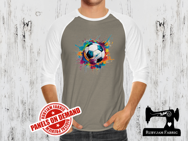 Soccer Ball Rainbow - LIGHT GREY - Panels On Demand