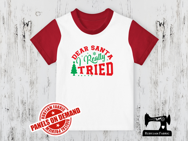 Dear Santa I Really Tried - WHITE - Panels On Demand