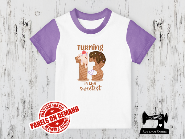 Turning 13 Is the Sweetest (Ice Cream) Birthday - WHITE - Panels On Demand