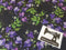 Embroidered Belladonna Floral - cotton lycra - 150cm wide