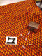 Fire Dragon Scales - cotton lycra - 150cm wide