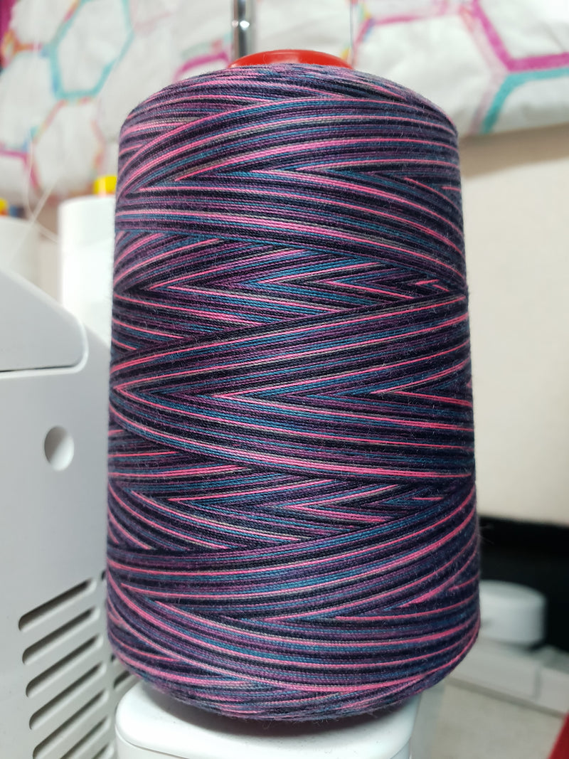The Wild One - Twisted Threads - 5000M Variegated Overlocker Thread