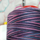 The Wild One - Twisted Threads - 5000M Variegated Overlocker Thread