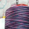 The Wild One - Twisted Threads - 5000M Variegated Overlocker Thread