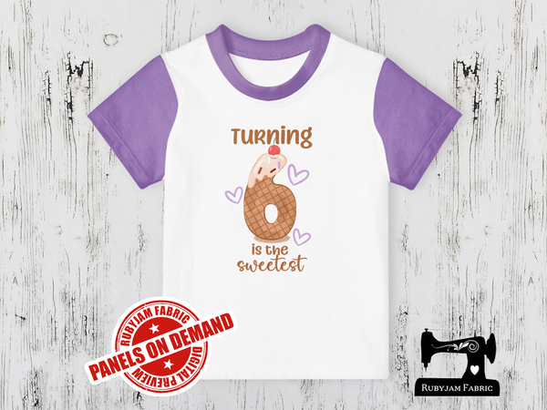 Turning 6 Is the Sweetest (Ice Cream) Birthday - WHITE - Panels On Demand
